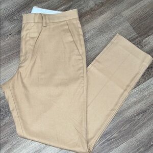 Express Tan Men's Chinos
